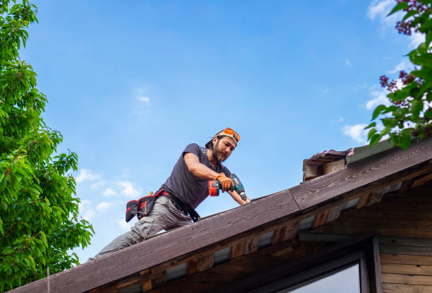 Best Storm Damage Roof Repair  in Andusia, AL