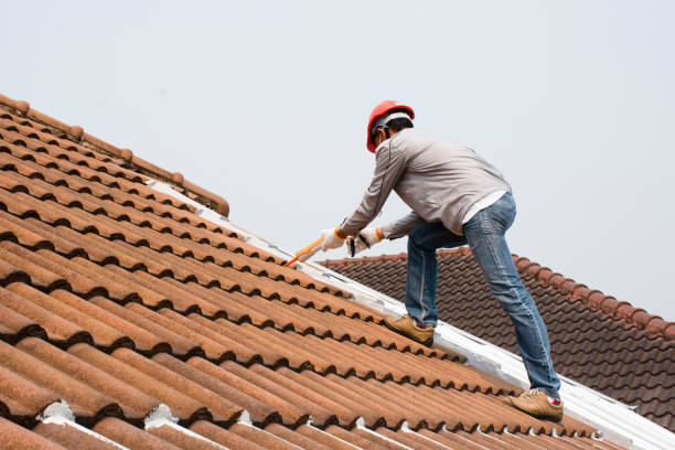 Best Cold Roofs  in Andusia, AL